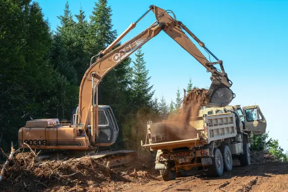 Cazino Pizazz Bingo Cazinou Suport